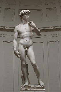 David  by Michelangelo Fir JBU002