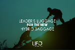 Leader s Luggage for the New Hybrid Baggage